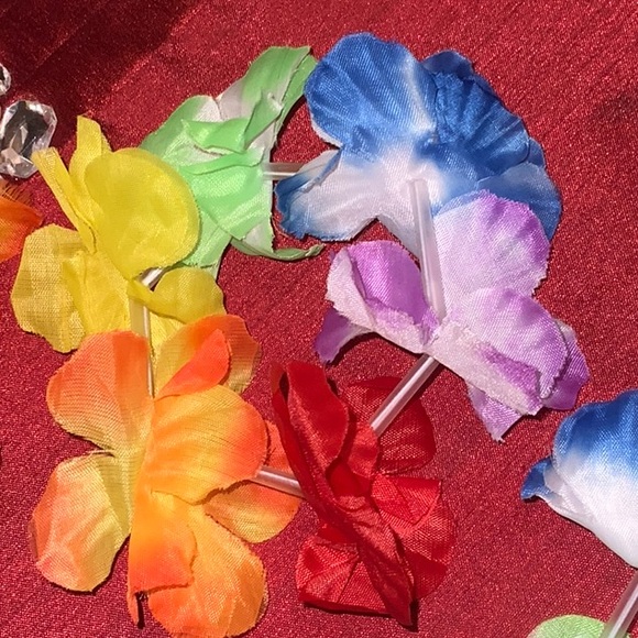 4/$20 Hawaïen Party accessories - Picture 5 of 6